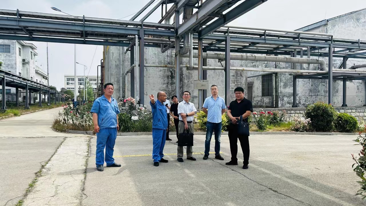 中能集團湖南電設(shè)院公司環(huán)保分公司來化工基地考察調(diào)研