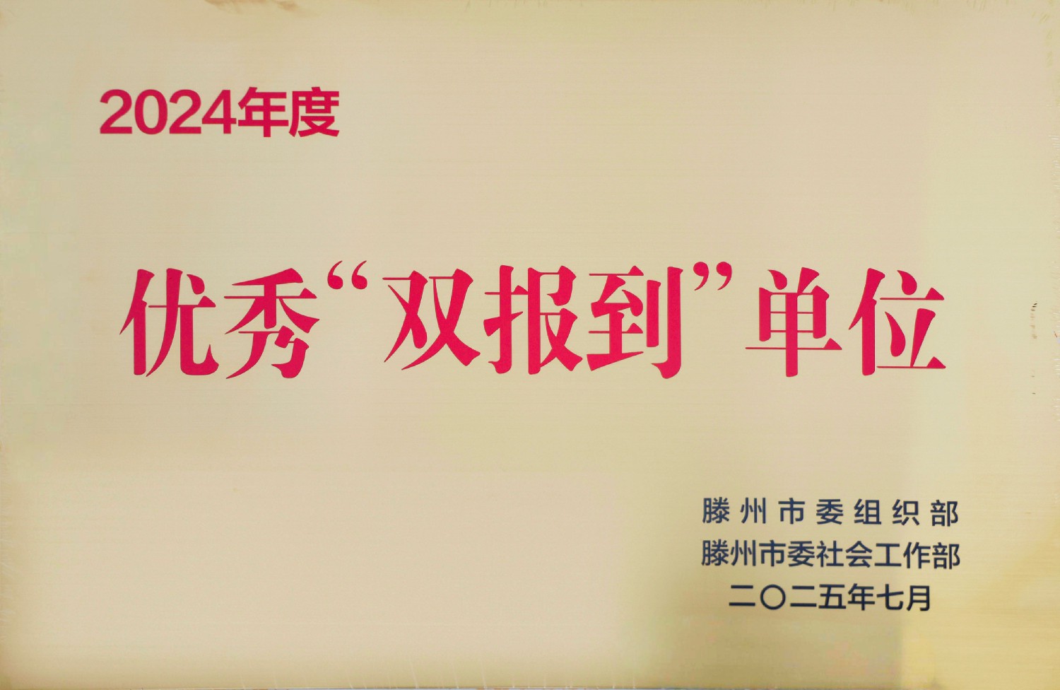 集團(tuán)榮獲優(yōu)秀“雙報(bào)到”單位稱號(hào)